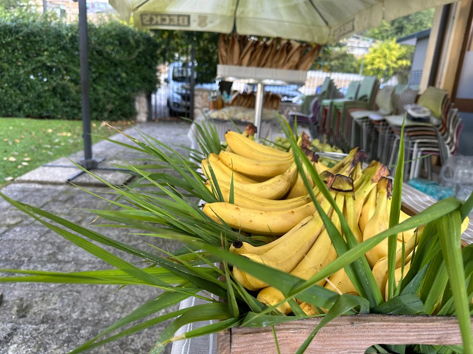 IMG-20261018-WA0004 (1)